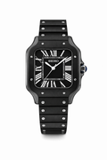 Seiko Santos "Black Panther"